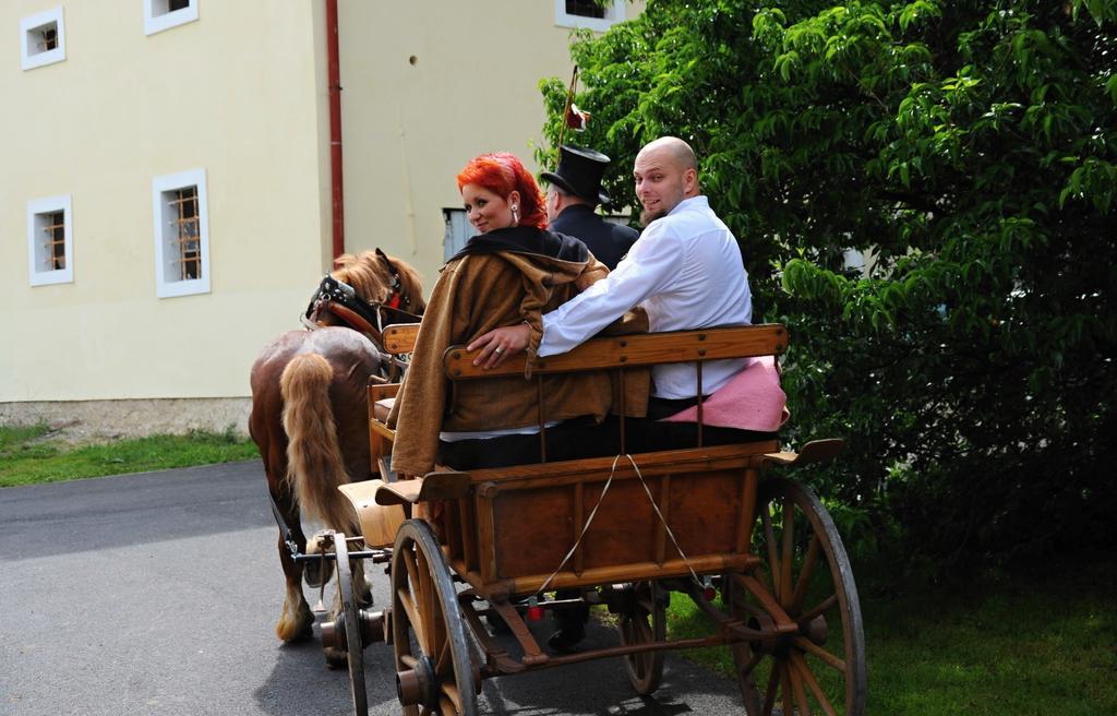 Penzion Zamek Rozsochatec Экстерьер фото